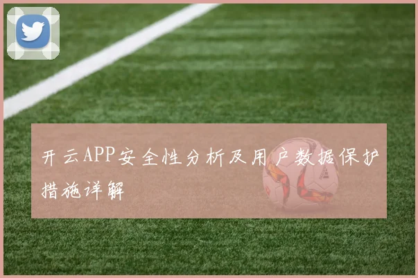 开云APP安全性分析及用户数据保护措施详解