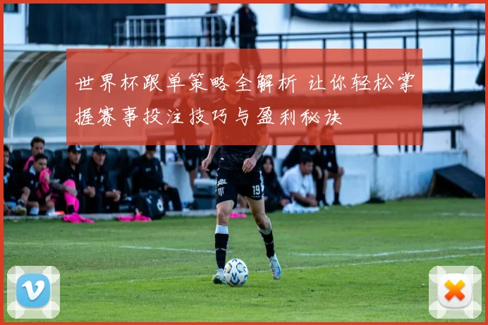 世界杯跟单策略全解析 让你轻松掌握赛事投注技巧与盈利秘诀