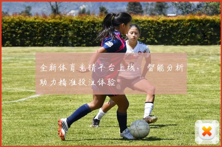 全新体育竞猜平台上线，智能分析助力精准投注体验