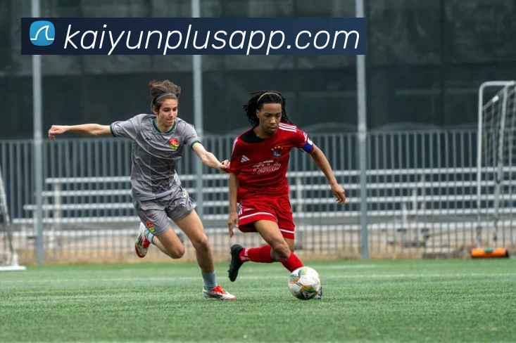 开云平台展示图