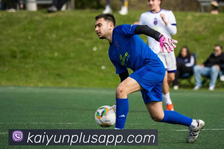 开云官方入口最新资讯与购物体验全面指南解读